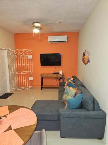 uma sala de estar com um sofá e uma televisão em S.G Apartment Complex. em Linstead