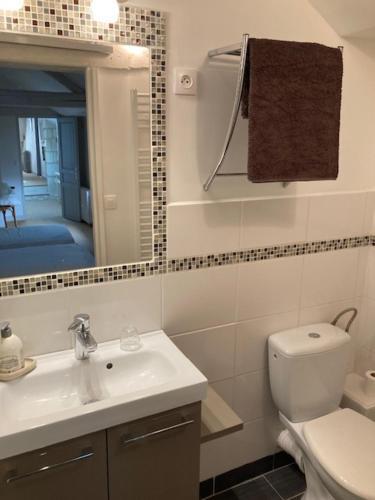 W łazience znajduje się umywalka, toaleta i lustro. w obiekcie Chambres d'Hôtes Rue du Poids w mieście Bourgueil