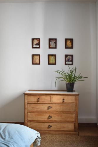 a bedroom with a dresser with a potted plant on it at Casa Frida in Ostend