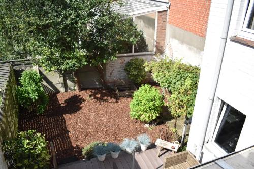 an aerial view of a garden with plants at Casa Frida in Ostend