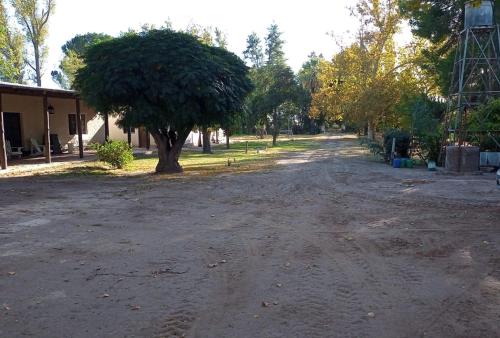 LAS CASUARINAS – Photos 2