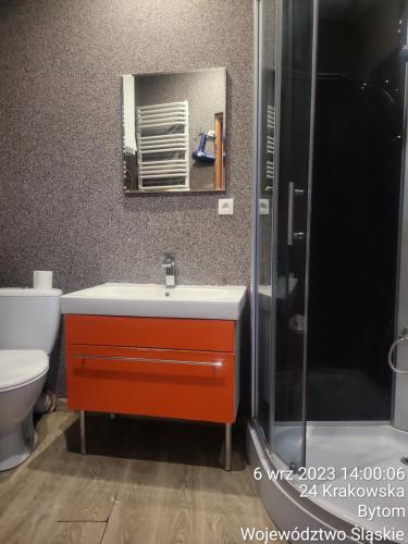 a bathroom with a sink and a toilet and a mirror at Apartament WHITEGRAY Studio 105 m2 in Bytom