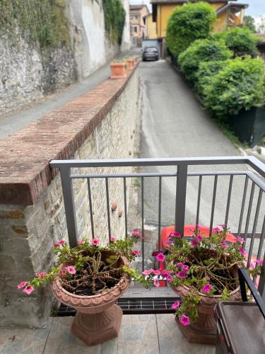 Κήπος έξω από το Charming two bedroom house