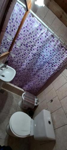 a bathroom with a toilet and a purple shower curtain at La Bellota in Villa Ventana