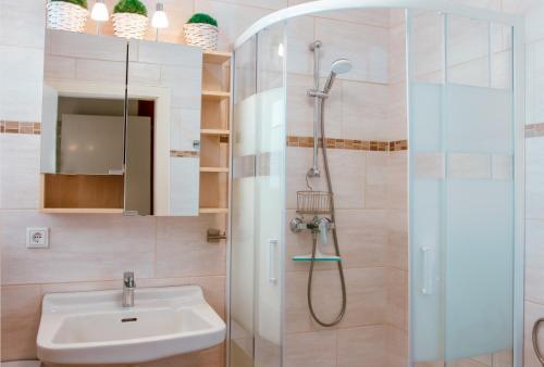 a bathroom with a shower and a sink at Ferienwohnung Marth in Sankt Andreasberg