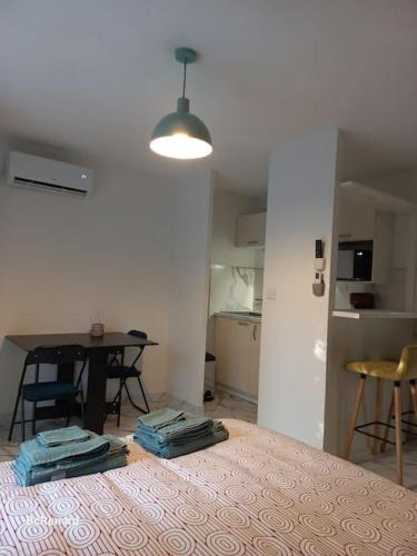 Appartement T1 Résidence Sporting 1er étage