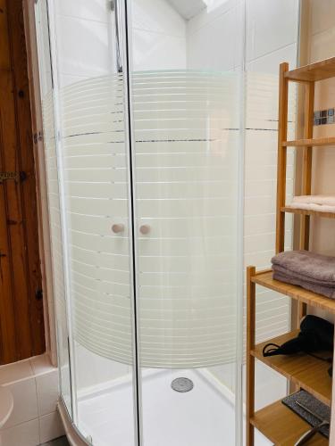 La salle de bains est pourvue d'une douche avec des portes en verre. dans l'établissement Le Blue - Coeur de ville, à Rennes