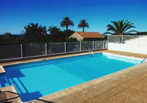 una piscina azul con palmeras en el fondo en Loft T3 Duplex Vue Mer Porquerolles, en Hyères