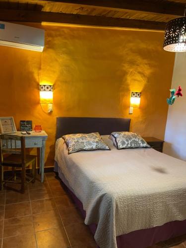 a bedroom with a bed and a table with a desk at Ama respira y vive in Salta