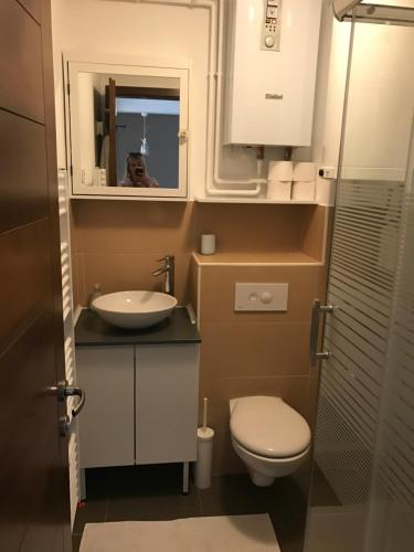 Koupelna v ubytování Apartment Stelvio