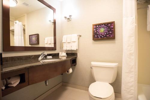 a bathroom with a toilet and a sink and a mirror at Hilton Garden Inn Covington/Mandeville in Covington