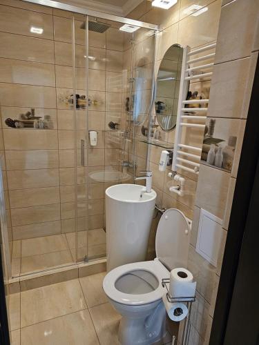 een badkamer met een toilet en een douche bij APARTAMENT 9 RO&MARIO Barlad in Bîrlad
