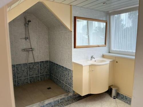 y baño con ducha, lavamanos y ducha. en Huisje Marie Loosdrecht en Loosdrecht