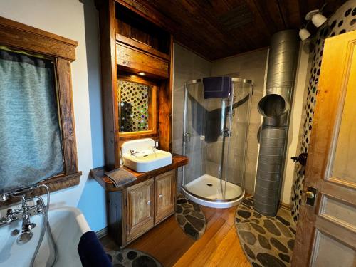 a bathroom with a toilet and a sink and a shower at Chalet Epicea in Sainte-Anne-des-Monts