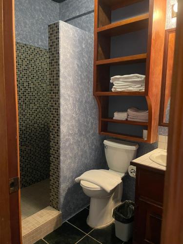 a bathroom with a toilet and a sink and a shower at Belize Budget Suites in San Pedro