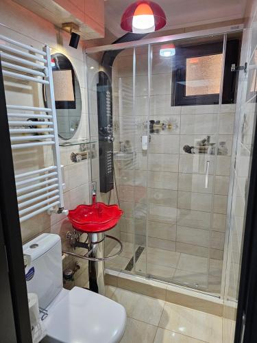 ein Bad mit einer Dusche, einem WC und einem Waschbecken in der Unterkunft APARTAMENT 12 RO&MARIO BARLAD in Bîrlad