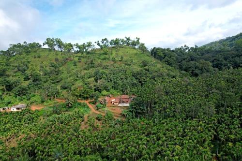 a green hill with houses on top of it at Badamane Jungle Stay - Jeep Ride & Mountain View in Chikmagalūr