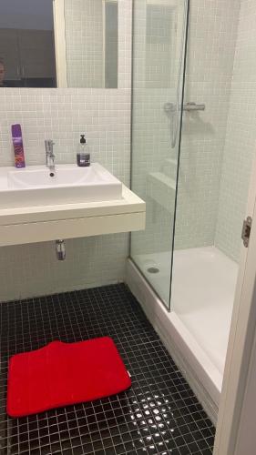 a bathroom with a sink and a red rug at Manzanas in Camarma de Esteruelas
