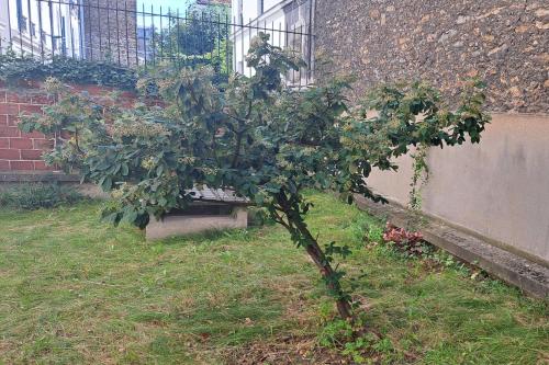 Κήπος έξω από το Appartement lumineux Paris nord-est