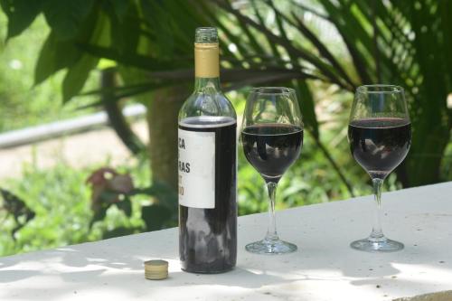 a bottle of wine and two glasses on a table at El Tucán Feliz - Jungle tiny guest house by Playa Cocles in Cocles