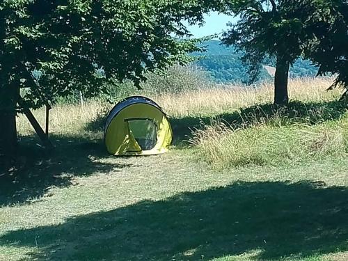 a tent sitting in a field under a tree at Apartmani Planinska kuća, Jagodnja in Krupanj