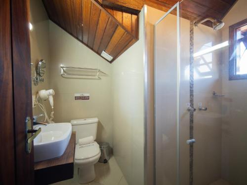 a bathroom with a toilet and a sink and a shower at Pousada Suiça Mineira Centro in Monte Verde