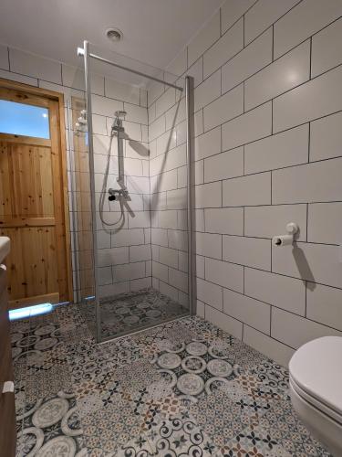 a bathroom with a shower and a toilet at Pod Lubogoszczem in Mszana Dolna