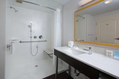 a bathroom with a sink and a shower and a mirror at Hampton Inn & Suites Greenville/Spartanburg I-85 in Duncan