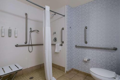 a bathroom with a shower and a toilet at Hampton Inn & Suites Wilmington Christiana in Newark