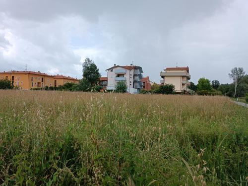 un campo de hierba alta con edificios en el fondo en Casa degli Aromi, en Lucca