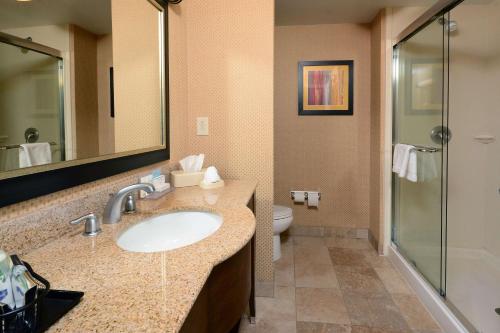 a bathroom with a sink and a toilet and a mirror at Hampton Inn & Suites Durham North I-85 in Durham