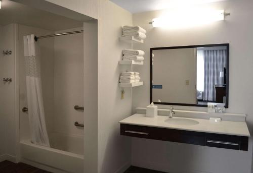 La salle de bains est pourvue d'un lavabo, d'une douche et d'un miroir. dans l'établissement Hampton Inn & Suites Charlotte/Pineville, à Charlotte