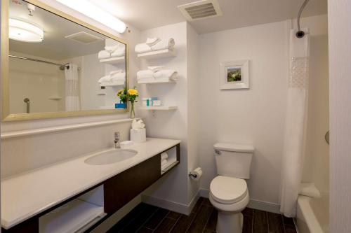 a bathroom with a sink and a toilet and a mirror at Hampton Inn Santa Barbara/Goleta in Santa Barbara