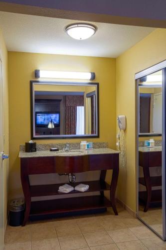 a bathroom with a sink and a mirror at Hampton Inn & Suites Sacramento-Elk Grove Laguna I-5 in Elk Grove