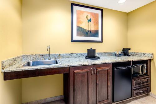 a kitchen with a sink and a microwave at Hampton Inn & Suites Sacramento-Elk Grove Laguna I-5 in Elk Grove