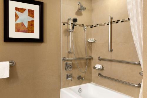 Embassy Suites by Hilton Austin Downtown South Congress في أوستن: حمام مع دش وحوض استحمام
