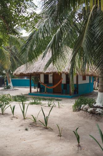 a house with a hammock and a palm tree at Isla Grande Eco-Hostal in Isla Grande