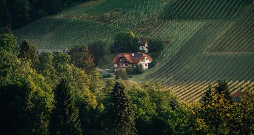 a house in the middle of a field with trees at Apartment direkt am Weingut Garber in Etzendorf