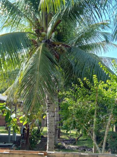 Taman di luar ParadiseKamp Açutuba