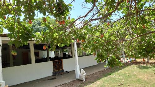 Taman di luar ParadiseKamp Açutuba
