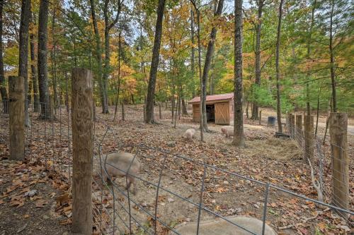 Φωτογραφία από το άλμπουμ του 1 Mi to Raystown Lake Wyatt Earp Cabin with Deck! σε Huntingdon