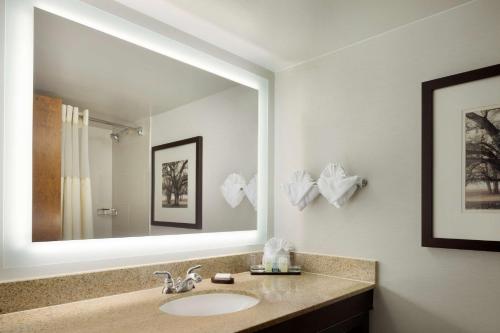 a bathroom with a sink and a large mirror at Embassy Suites by Hilton Columbus in Columbus