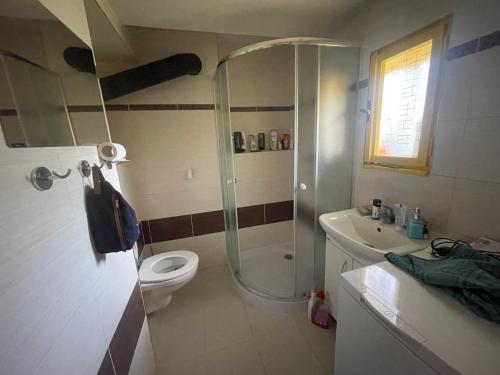 a bathroom with a shower and a toilet and a sink at Chalupa U Měšťanů in Lužná