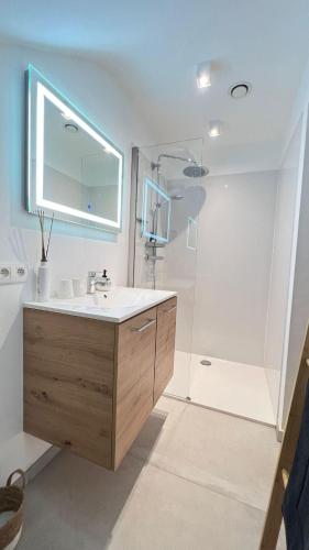 a bathroom with a sink and a shower at La Pacha, chambre d'hôtes in Spa