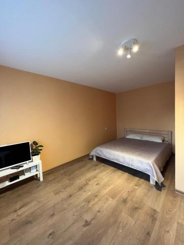 a bedroom with a bed and a flat screen tv at Birch view apartment in Jelgava