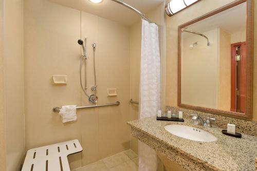 a bathroom with a sink and a shower at Embassy Suites by Hilton Dallas Frisco Hotel & Convention Center in Frisco