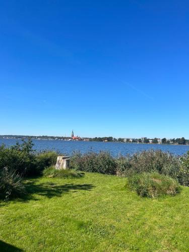 ein Grasfeld neben einem Wasserkörper in der Unterkunft Ferienwohnung Wassergrundstück an der Schlei in Fahrdorf