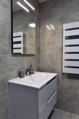 a bathroom with a white sink and a mirror at Hedonica 11 Ema in Vrdnik