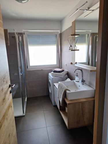 y baño con lavabo y ducha. en FeelHome Bruneck en Brunico