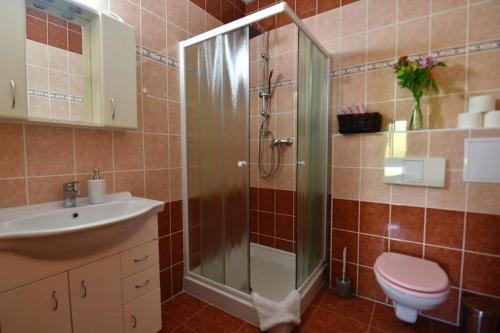 a bathroom with a shower and a toilet and a sink at Apartmány Braníčkov in Branickov